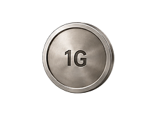 Palladium 1g