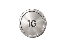 Platinum 1g