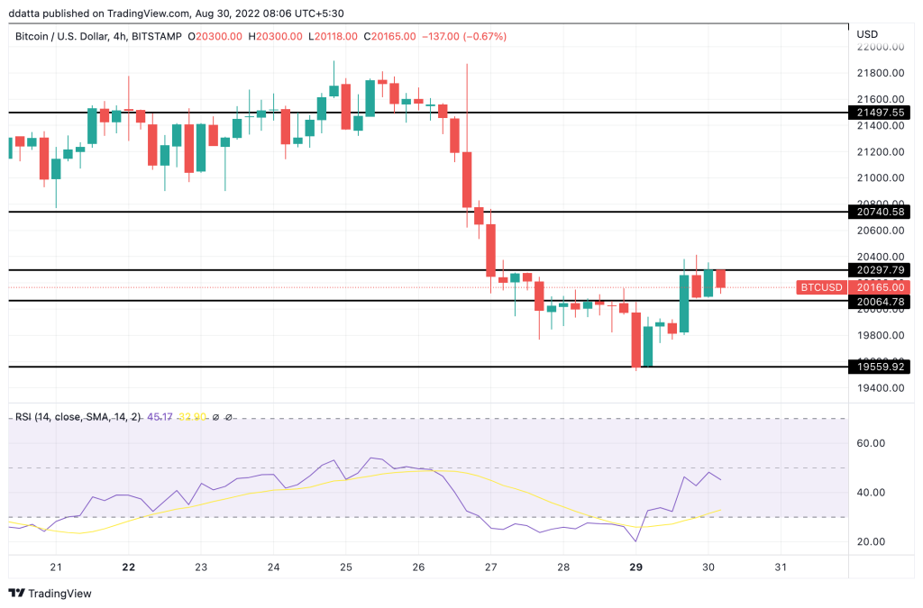 crypto market update