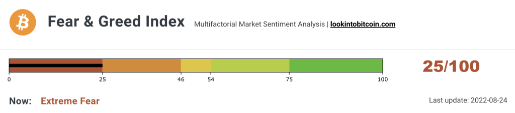 market update 