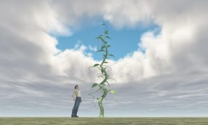 Beanstalk relaunches stablecoin