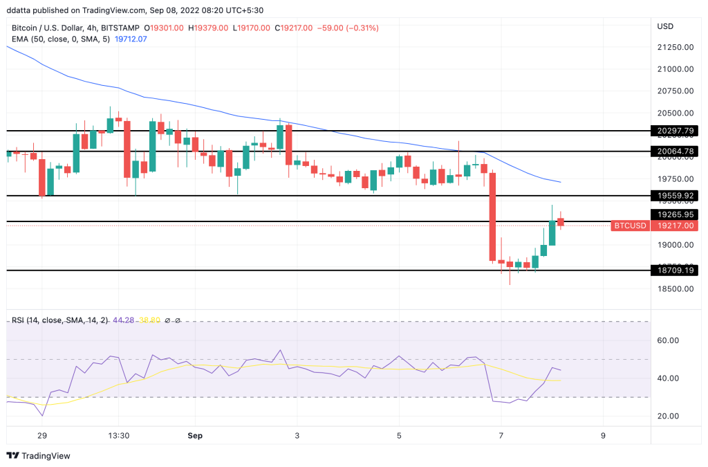 crypto market update