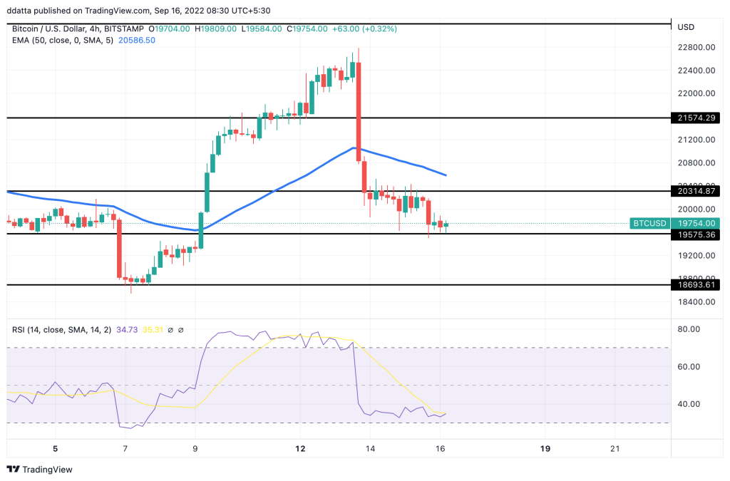 crypto market update