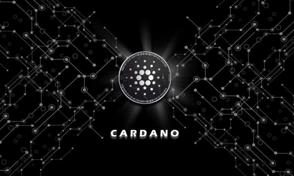 Cardano new upgrade