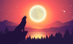 Dogecoin to the moon