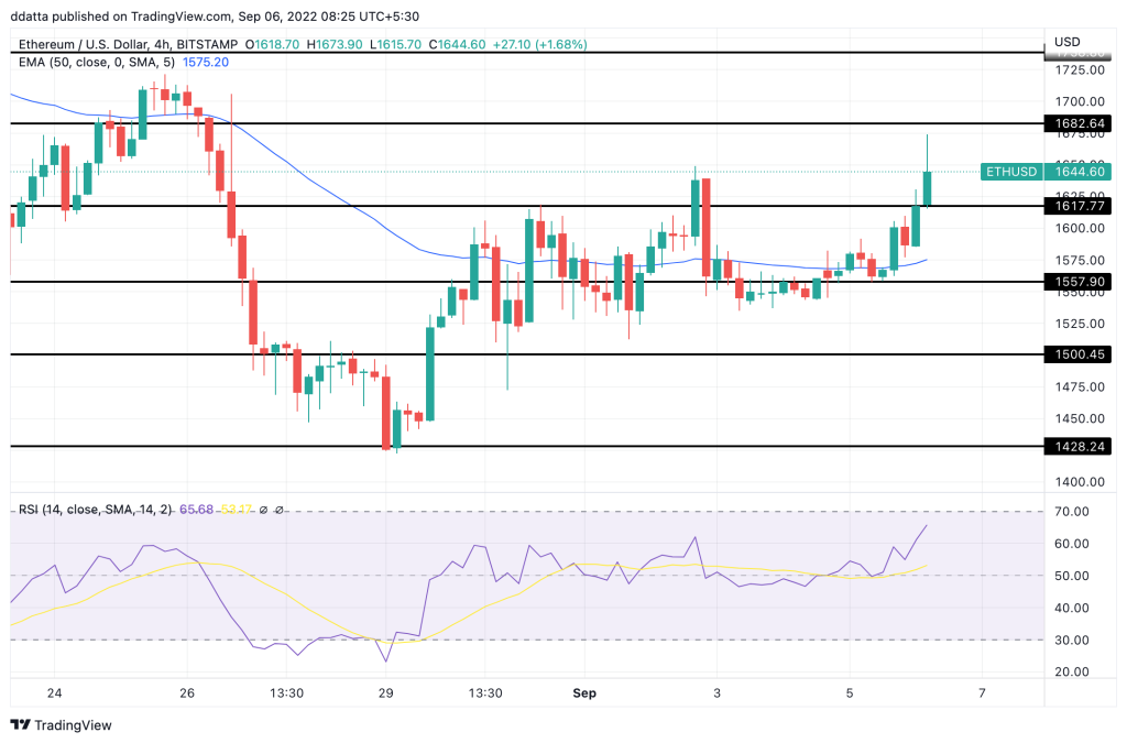 crypto market update