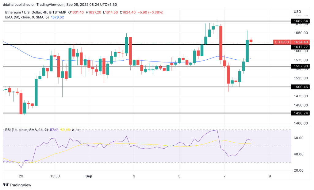 crypto market update