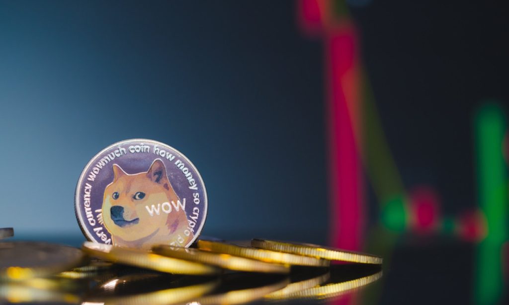 Vitalik Buterin donation to Dogecoin Foundation