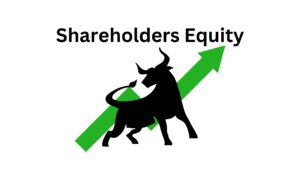 shareholders equity