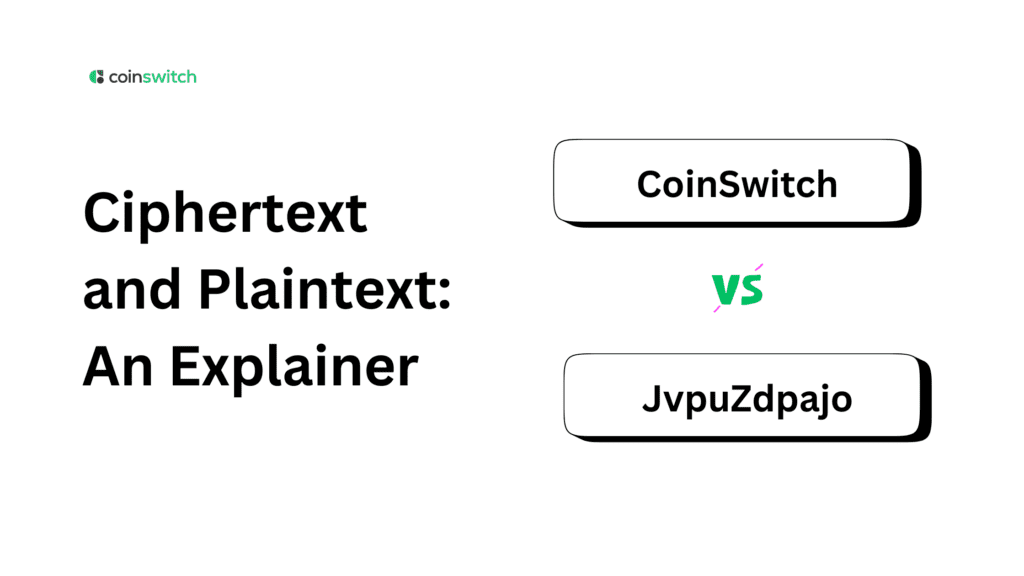 Ciphertext and Plaintext: An Explainer