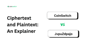 Ciphertext and Plaintext: An Explainer