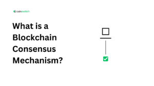 What is a Blockchain Consensus Mechanism?