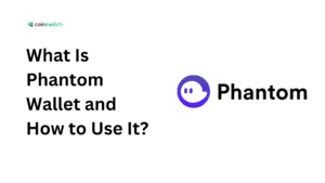 What Is Phantom Wallet and How to Use It?