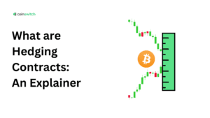 What are Hedging Contracts: An Explainer