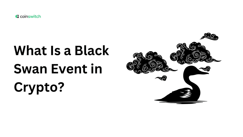 What Is a Black Swan Event in Crypto?
