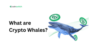 What are Crypto Whales