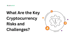 What Are the Key Cryptocurrency Risks and Challenges?